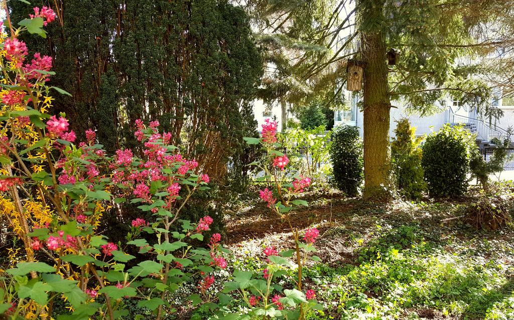 Ferienhaus Sanssouci Stahnsdorf Екстериор снимка