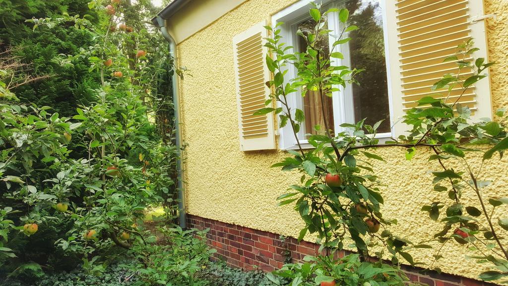 Ferienhaus Sanssouci Stahnsdorf Екстериор снимка